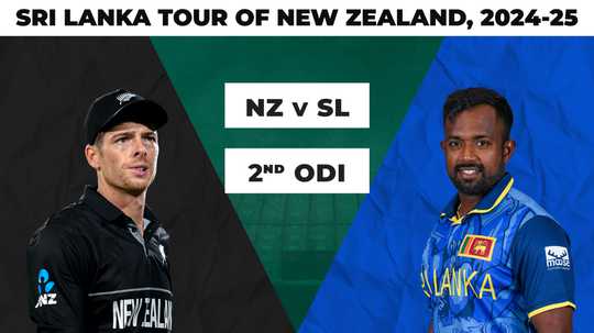 门德斯的黄 门德斯的黄