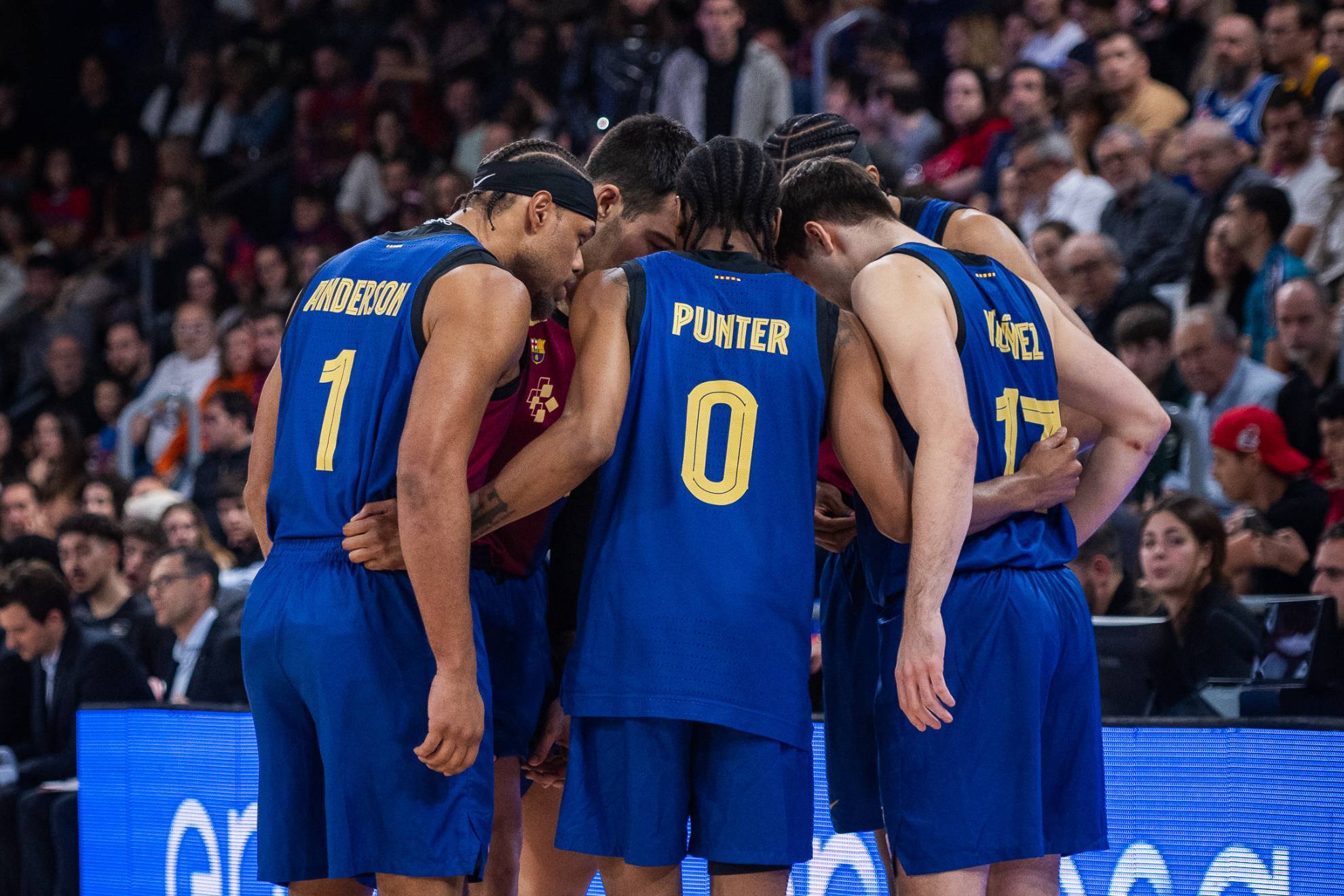 在本赛季 在本赛季